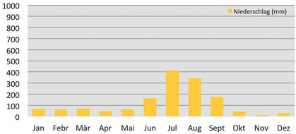 Klimadiagramm - Niederschläge in Shimla im indischen Himalaya 