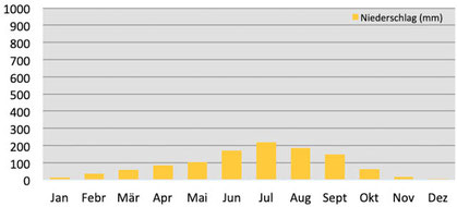 Klimadiagramm - Niederschläge in Lachung in Sikkim