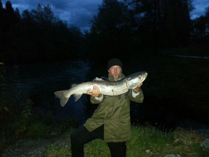 Am 13.10. 2013 von Manfred Schmied aus dem Gailfluss geholt. Die Masse 93 cm /11 kg.