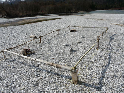 Floßattrappe am Wiederansiedlungsplatz für die Flussseeschwalben, Foto: Fabian Unger, 2015