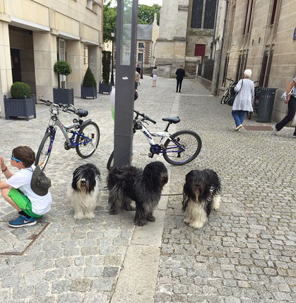 links Arthur, mitte Emma und rechts  Bootsmann