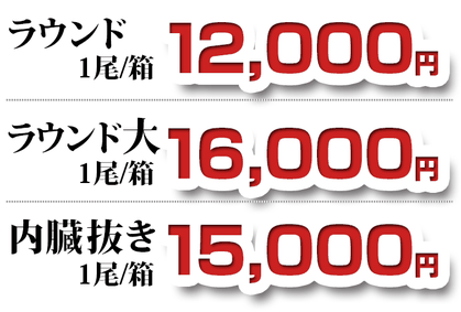 ぶり ラウンド・ラウンド大・内臓抜き