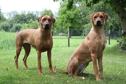 Nanga ( links) mit Tochter Jamila