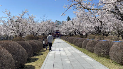 ゆたか薬局 薬剤師のブログ “聖光寺”