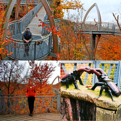 Treetopwalk, Baumkronenweg, Eichhörnchen Pfad, Edersee, Erlebnisregion, Aktion mit Kind, Urlaub trotz Corona, Urlaub in Deutschland