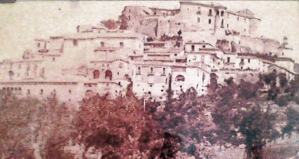 foto fine 800