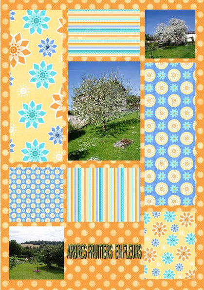 scrap, scrap digital, scrapbooking, photo