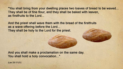 two loaves pentecost wave offering breads shavuot 