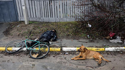 Ukraine war Russia dog with dead man owner was killed