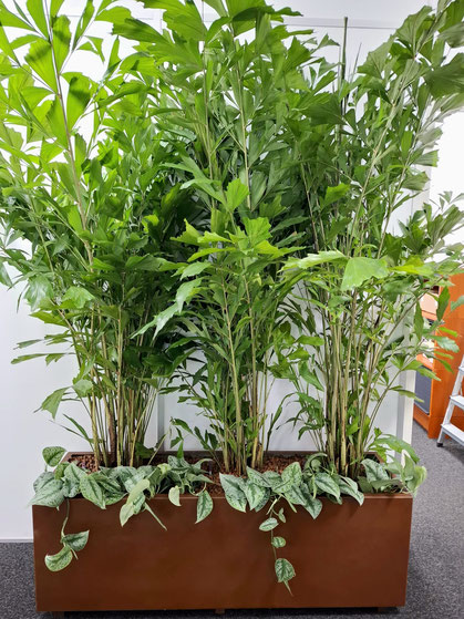 jardinière sur mesure