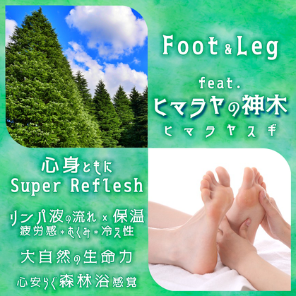 東洋医学,ヨモギ蒸し,デトックス,眼精疲労,ヘッドマッサージ,よもぎ,漢方
