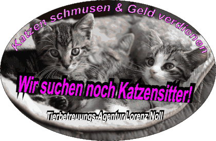 Tierbetreuung und Katzenbetreuung in Braunschweig. Katzensitter, Catsitting