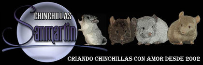 Chinchillas Sanmartín. De mi amiga Ingrid  ^^