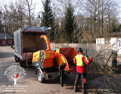 Baumpflege Havelland bei der Arbeit am Häcksler