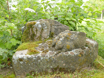 Fragment Grabdenkmal Löwentatze