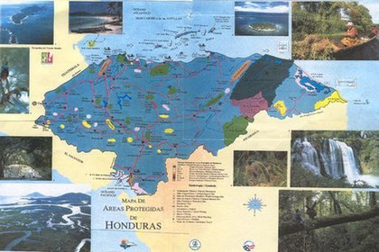 ZONA ECOLOGICAS zona ecologicas: