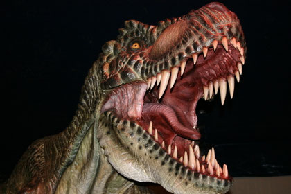 Représentation d'un Tyranosaure (Tyranosaurus rex)