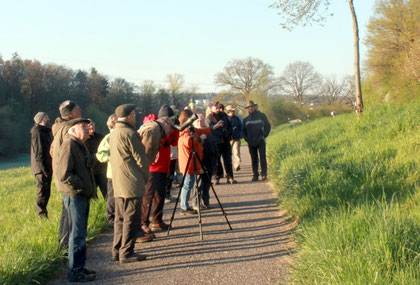 Vogelstimmenwanderung und Vogelbeobachtung 2015 unter Leitung von Eva Kübler und Hans-Peter Anderer