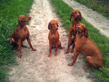 Anna, Birte, Aika und Lasse