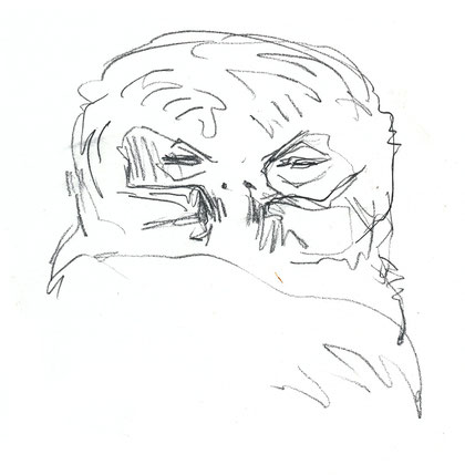 Poussin de Chouette hulotte (Ille-et-Vilaine, mai 2016)