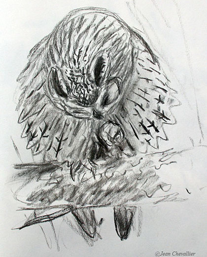 Moyen-duc Asio otus , dessin Jean Chevallier