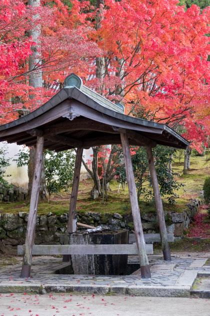 京都京田辺 一休寺の紅葉