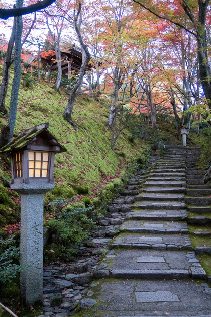 京都嵐山 常寂光寺の紅葉