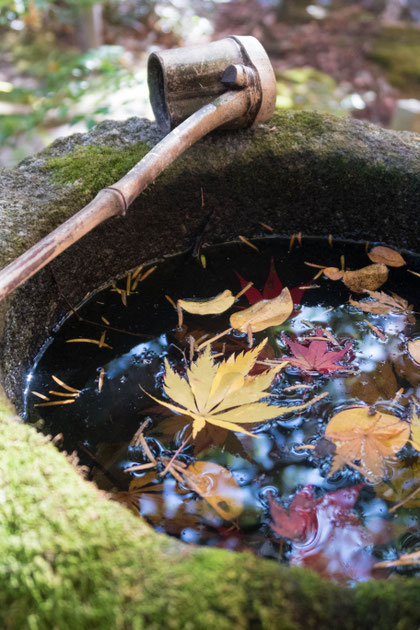 京都亀岡 苗秀寺の紅葉 手水鉢