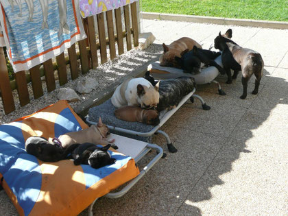 le club med :-)