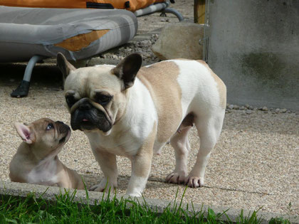 E'Charlotte & Djoy