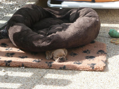 Grosse fatigue :-)