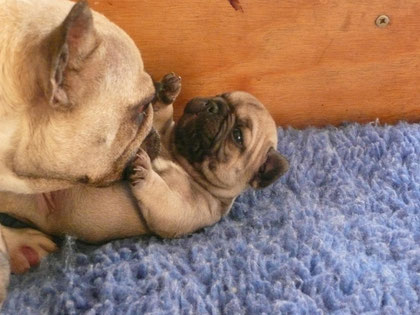 du calme bébé !!