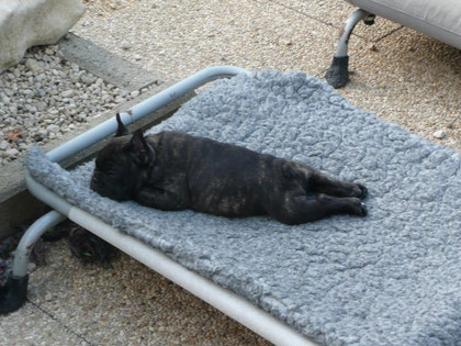 Arthur fait la sieste