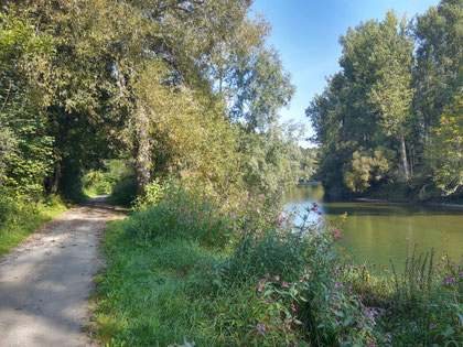 Lange führt der Weg immer direkt an der Iller entlang