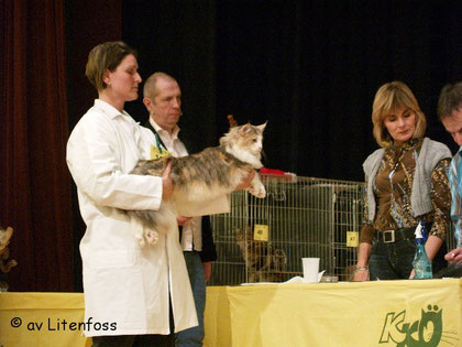 Leider hat es für Best in Show nur knapp nicht gereicht