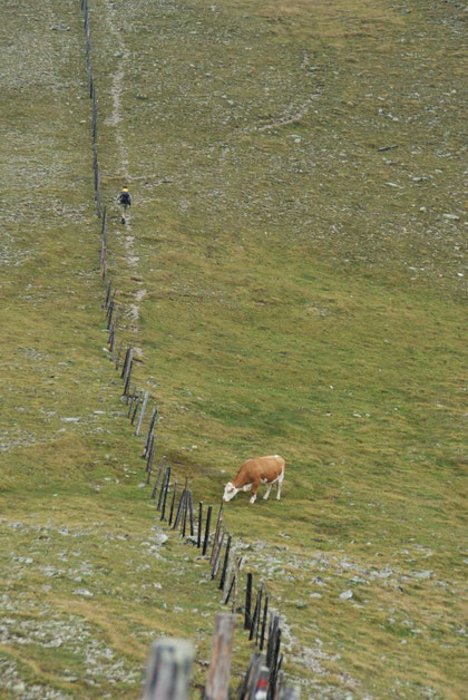 Am Weg zur Bretthöhe