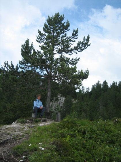 Rastplatz bei der Mitzl- Moitzl- Hütte