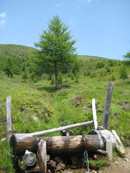 Brunnen am Wegesrand