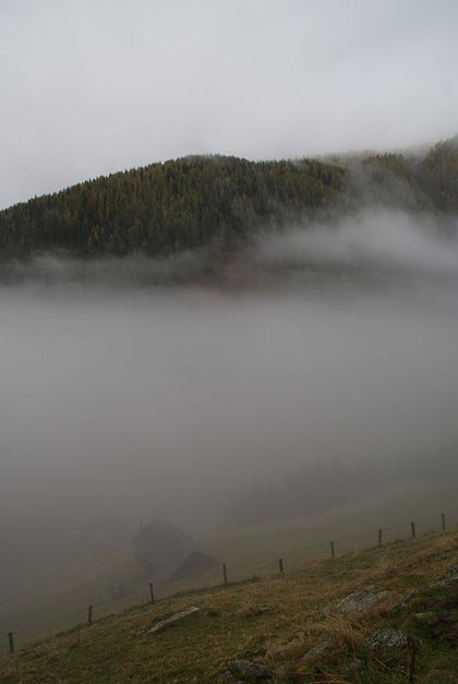 Die Untere Orteralm