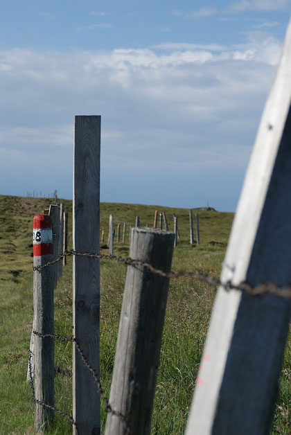 Am Weg zur markanten Weggabel (1872m) mit Blick zum Großen Sauofen (rechts)