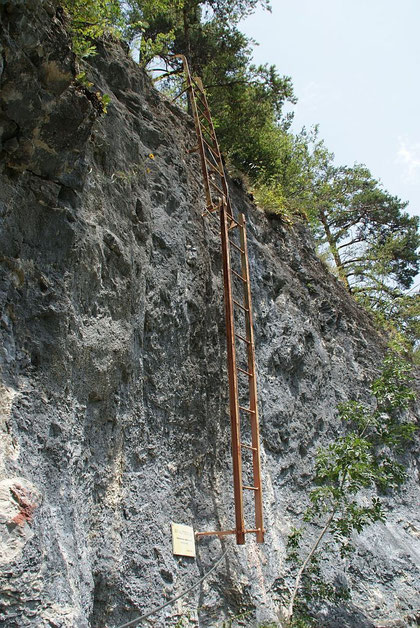 Leiter im BGV-Klettersteig