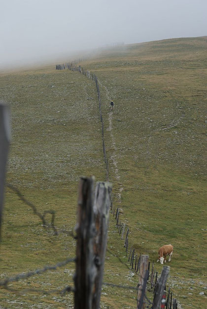 Am Weg zur Bretthöhe