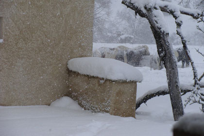 la neige au Revest du Bion