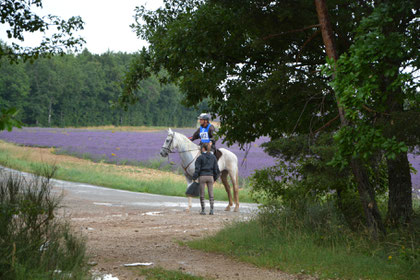 endurance équestre Revest du Bion 2014