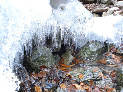 Cristalli di ghiaccio - Bolastro 3 febbraio 2013