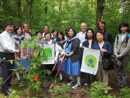Planting Hickory in Mount Royal, Montreal, Quebec, Canada