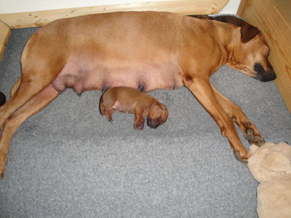 Es dauert noch ein bischen, bis ich soooo groß wie Mama bin!
