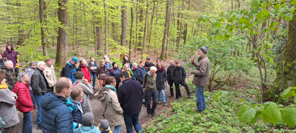 Fast 70 Personen schlossen sich dem Waldspaziergang mit Dr. Lutz Fähser (r.) in Sprockhövel an. (Foto: A. Peter, NABU EN)