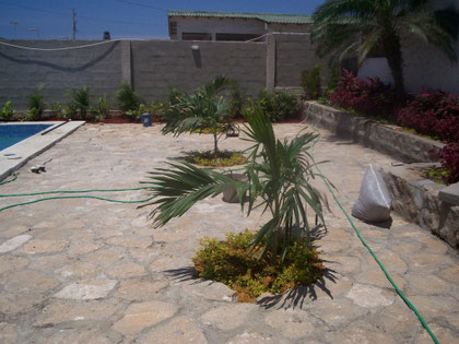 Mulch Amarillo