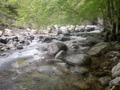 La Brèze, affluent de la Jonte